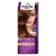 Palette ICC R4 Chestnut5126