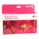 O Bloom #14sachet             