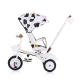 Tricycle with canopy 360 seat 