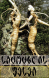 ჟენშენი Panax ginseng