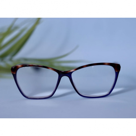optical glasses +1 3053