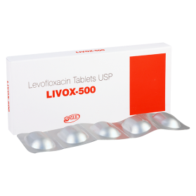 Livox-500 #5t