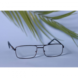 optical glasses +2.5 8952