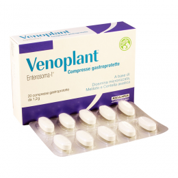 Venoplant enterosoma#20t