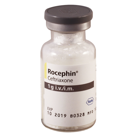 Rocephin 1g fl