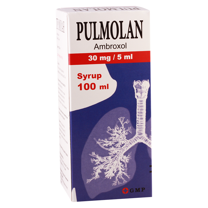 Pulmolan 30mg/5ml 100ml syrup