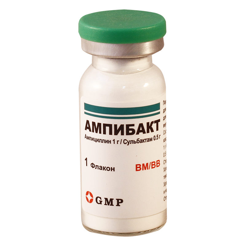 Ampibact 1.5g #1fl GMP