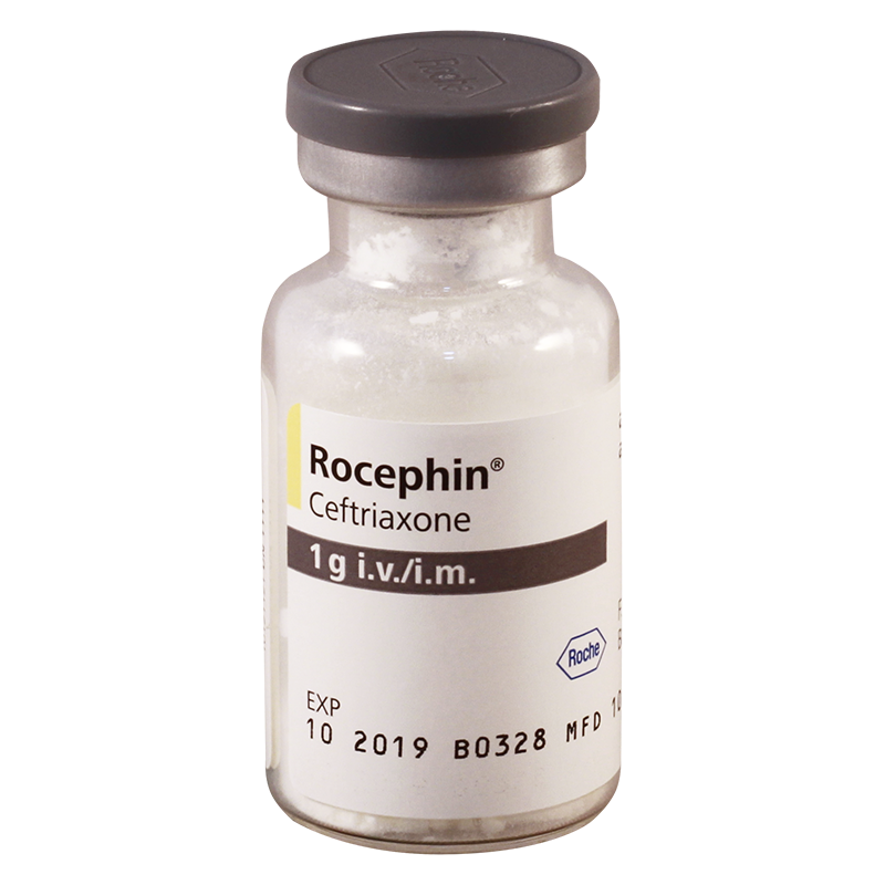Rocephin 1g fl