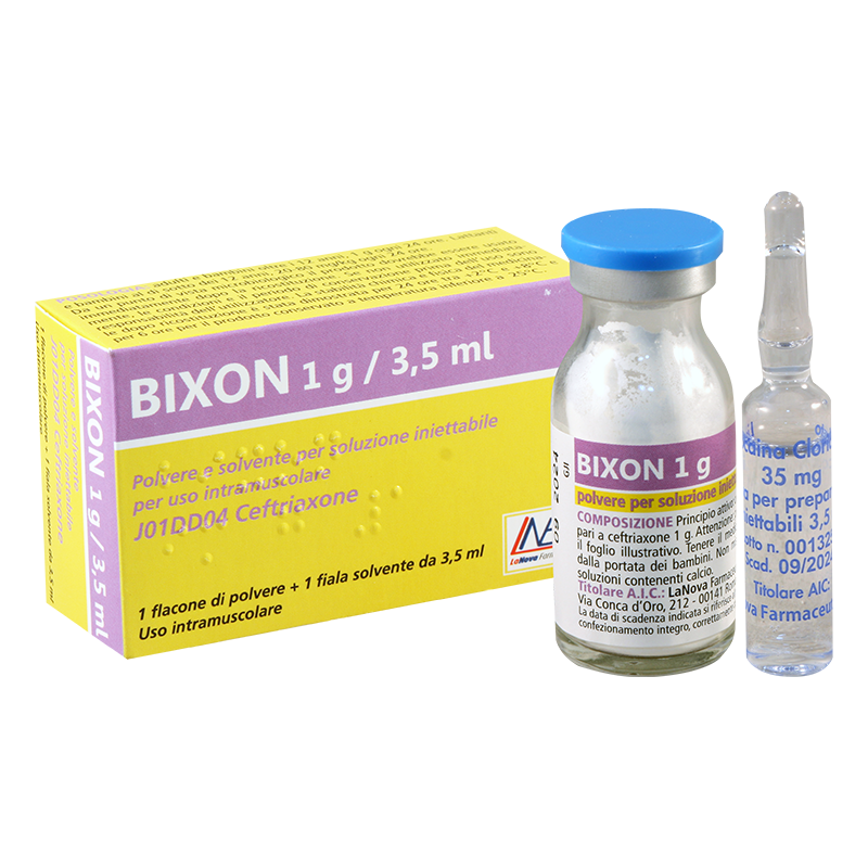 Bixon 1g #1fl